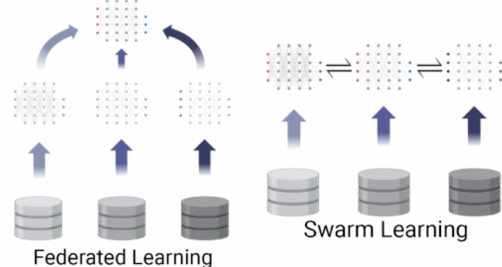 A graphic showing the difference between Federated Learning and Swarm Learning